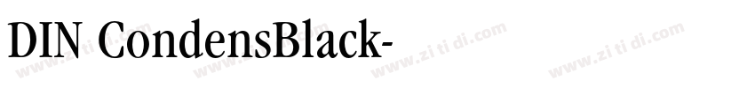 DIN CondensBlack字体转换